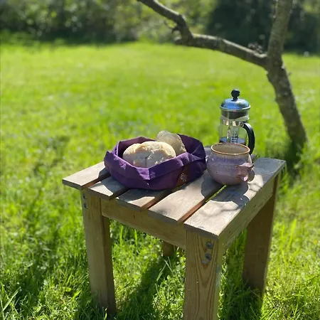 Naer Strand Oase Kort Gatur Fra Bonnerup *